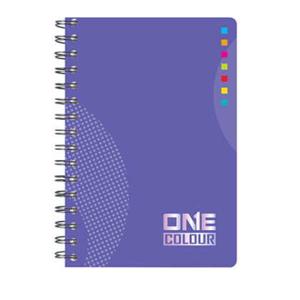 Sveska A4 ONE COLOR 96l