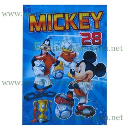 Sveska A4 meki povez - Disney