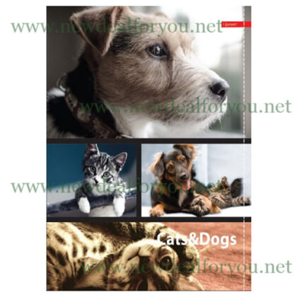 Sveska A4 tvrdi povez - klasik